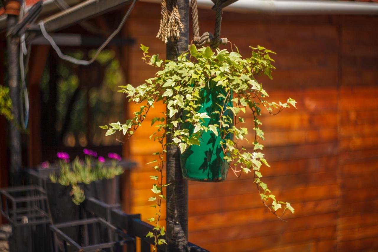 Hotel Almi Akhaltsikhe  Bagian luar foto